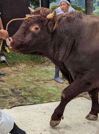 静也（しずや）