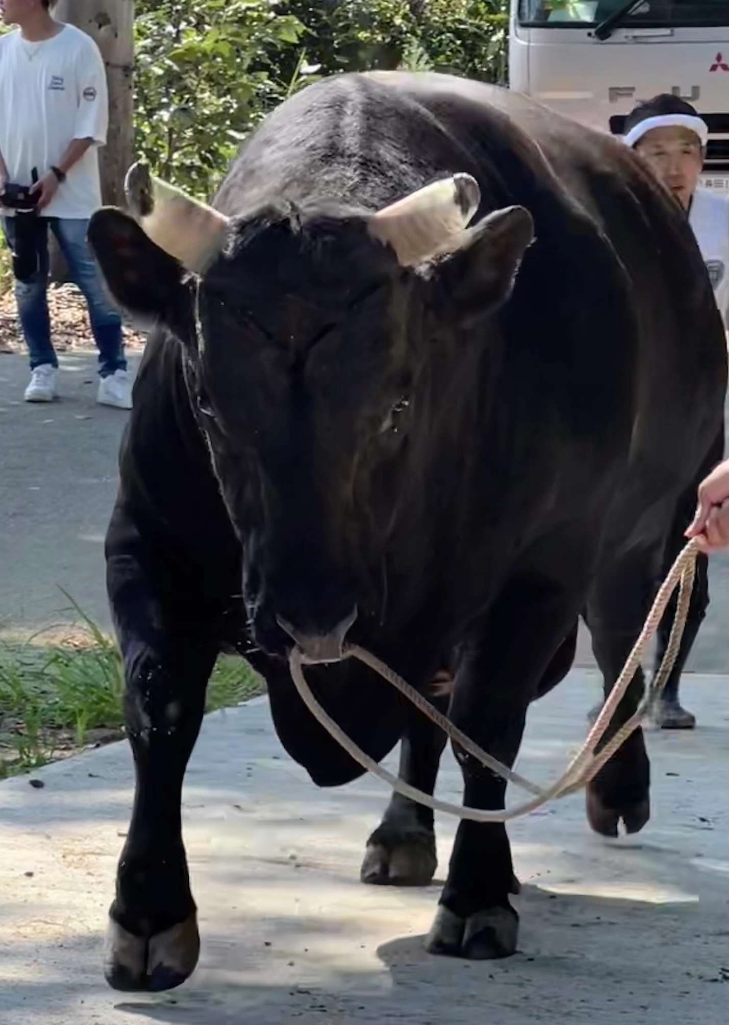 嬴政(えいせい)